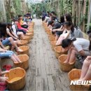 봉연농장 뉴시스