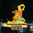 취타대동아리 | 듀듀일상 2만명의 연등행렬 유네스코 등재된 연등회 후기