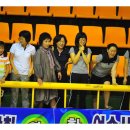 함평나비(광주) 이미지