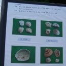 서리상반고려백자요지 이미지