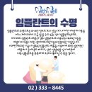 하이메드 이미지