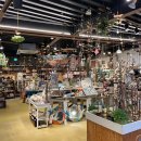 경포썬앤문펜션 | 서핑천재 등장 강릉 Day 2