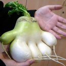 반송2동-16 이미지