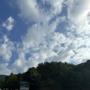 충남 세종시 금강자연휴양림 황톳길 걷기/ 강마루3호 후기