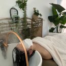 클라라 바디케어 이미지