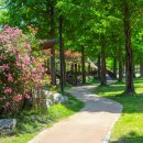 정관 구목정공원 이미지