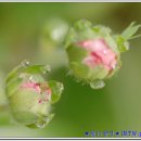 달맞이팬션 이미지