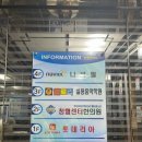 [대전실용음악학원/유성실용음악] 엘로리 실용음악학원
