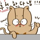 수선화펜션가족커플단체독채갯벌신축