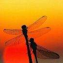 덕성초등학교 이미지