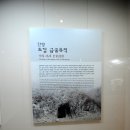 [충북 단양군 ①부/돌집식당] 여행은 먹고 시작하는게 장땡..