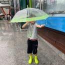 시민오페라단9회 정기공연 | 원더매직의 과학 마술 콘서트 관람 후기 영천시민회관 최형배 과학선생님