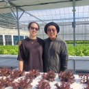 이종태농장 이미지