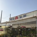 [의정부] 인테리어 구세주 꽃과 식물을 구매할 수 있는 '해성 꽃농원' 후기/ 개업화분 / 식물