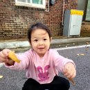 오랜만에 해님 만나러 산책 가요/음악/가을열매(잣)탐색하고 내 얼굴 꾸며요 이미지