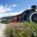 섬진강변 자전거하이킹 이미지