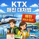 입석 | KTX 매진 대처법｜예약대기·입석·대피도우미 좌석까지 후기