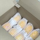 마켓더팜 네이버블로그