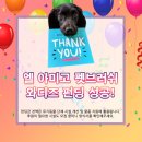 주식회사 아미고