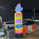 [운정 꼬꼬순이] 운정 초롱꽃마을 술집에서 추억의 치킨 먹은 후기
