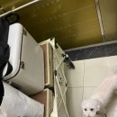 대불주거4로 | [전남 애견 캠핑장 추천] &#39;영암국민여가캠핑장&#39; A1 사이트 장단점 예약팁 총정리