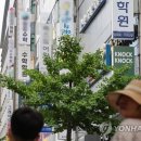 강남-188 이미지