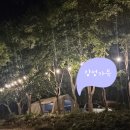 섬지캠핑장 | 구례 섬지캠핑장 후기 캠핑초보도 즐기는 감성가득 별보기좋은곳