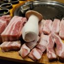 암돼지한판 이미지