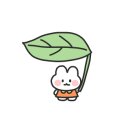 늘편한하지외과의원 이미지