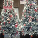 백곡2 | 진천 화계절 카페 후기 │ 백곡저수지 뷰 애견동반 가능 2층 잔디공간 이용 후기