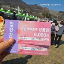 광양사슴농장 | 광양 매화축제