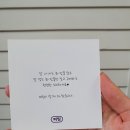마로한 | 마로한 '에클로니아 슬리핑팩' 사용 후기