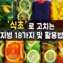 식초로고치는 지병활용법 이미지