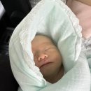 화목자동차서비스 | [안양/과천 산후조리원] 봄빛병원산후조리원 2관 후기