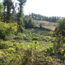 억척목장 이미지