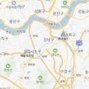 스타일독앤캣 강아지고양이 경기광주점 이미지