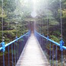 소똥령이야기 이미지