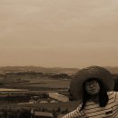 월야농장 이미지