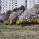 미금교 이미지