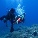 닛시어학원 이미지