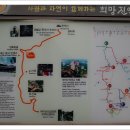 김대거 종법사 생가 Daum카페