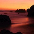 러브카페 이미지