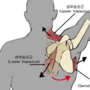 체형교정 필라테스 이미지