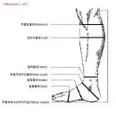 골든호스 이미지