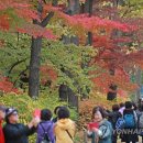 낙엽 우수수, 수능의 염원 - 오늘의 포토소식 이미지