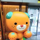 대우성식당 | 마쓰야마공항에서 시내 한국인 무료 쿠폰받는 곳 혜택 총정리ㅣ마쓰야마여행 EP2