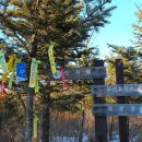 금성시장 이미지