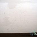 바이널주 이미지