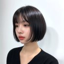 포레스트헤어 네이버블로그