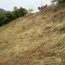 무영농장 이미지